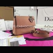 D25668 Brown Calfskin Dior Handbags