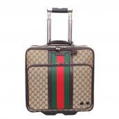 Gucci Handbags G09893 Canvas Large(L) Travel Cases