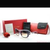 Tawny Resin Sunglasses Cartier